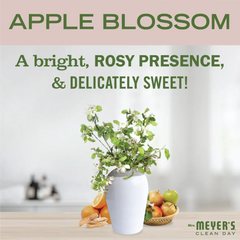 Apple Blossom Vinegar Gel Cleaning Spray