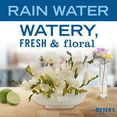 Rain Water Dish Soap Refill
