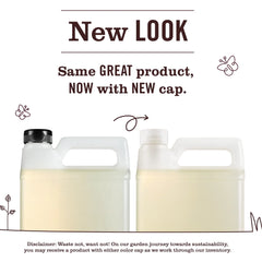 Lemon Verbena Dish Soap Refill