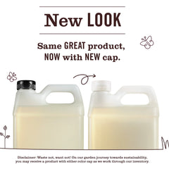 Snowdrop Liquid Hand Soap Refill