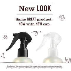 Basil Room Freshener