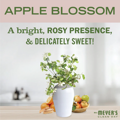 Apple Blossom Baking Soda Cream Cleaner