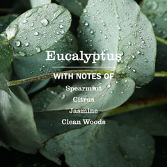 Eucalyptus Dish Soap