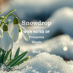 Snowdrop Liquid Hand Soap 3-count Bundle