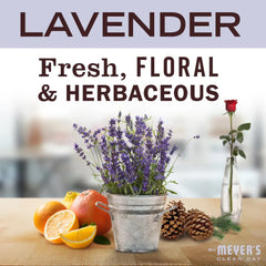 Lavender Probiotic Drain Maintenance